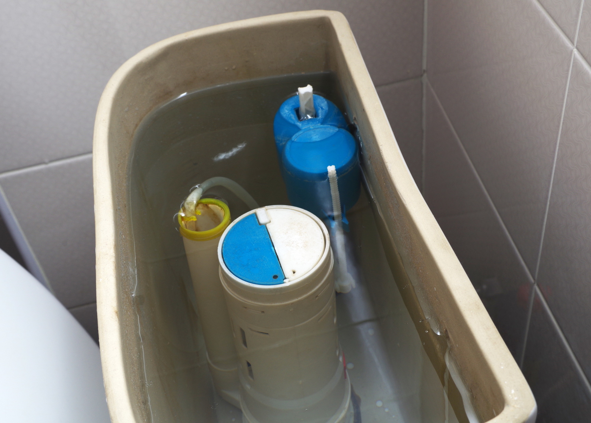 掃除 トイレ タンク トイレタンク掃除方法、中に入れるだけの洗剤の効果とは